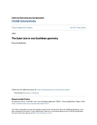 The Euler Line in Non-Euclidean Geometry