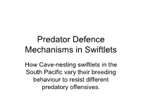 Predator Defence Mechanisms in Swiftlets