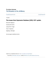 The Mouse Gene Expression Database (GXD): 2021 Update