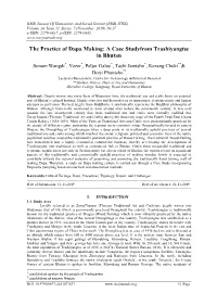 The Practice of Dapa Making: a Case Studyfrom Trashiyangtse in Bhutan