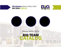 Big Team Catalog