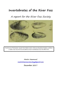 Invertebrates of the River Foss