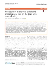 Shedding New Light on the Brain with Tissue Clearing Robin J