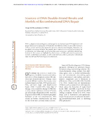 Sources of DNA Double-Strand Breaks and Models of Recombinational DNA Repair