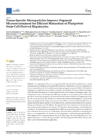 Tissue-Specific Microparticles Improve Organoid Microenvironment For