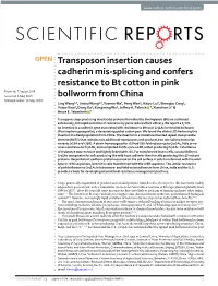 Transposon Insertion Causes Cadherin Mis-Splicing and Confers Resistance