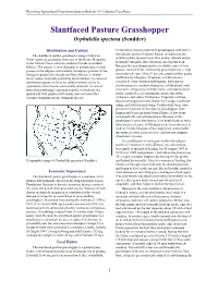 D:\Grasshopper CD\Pfadts\Pdfs\Vpfiles