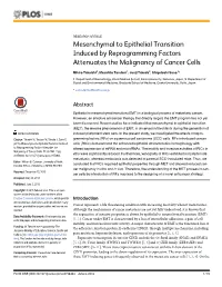 Mesenchymal to Epithelial Transition Induced by Reprogramming Factors Attenuates the Malignancy of Cancer Cells