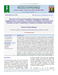 View Full Text-PDF