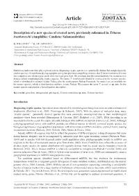 Description of a New Species of Crested Newt, Previously Subsumed in Triturus Ivanbureschi (Amphibia: Caudata: Salamandridae)