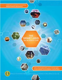 The SMART GRID: an Introduction