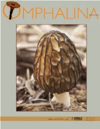 Newsletter of Feb