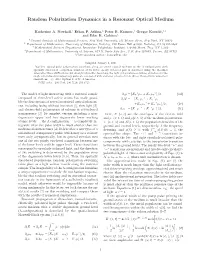 Random Polarization Dynamics in a Resonant Optical Medium