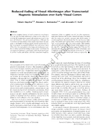 Reduced Fading of Visual Afterimages After Transcranial Magnetic Stimulation Over Early Visual Cortex