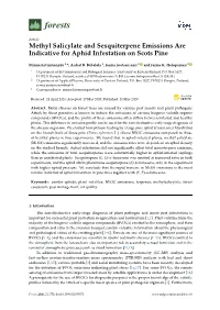 Methyl Salicylate and Sesquiterpene Emissions Are Indicative for Aphid Infestation on Scots Pine