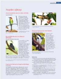 Snapshot Sightings 112A
