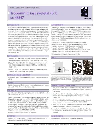 Troponin C Fast Skeletal (E-7): Sc-48347