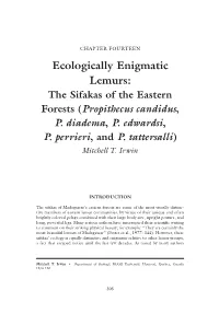 Ecologically Enigmatic Lemurs: the Sifakas of the Eastern Forests (Propithecus Candidus, P