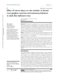 Effect of Nerve Injury on the Number of Dorsal Root Ganglion Neurons and Autotomy Behavior in Adult Bax-Deficient Mice