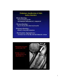 Pathologic Classification of White Matter Disorders • Demyelinating