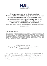 Phylogenomic Analysis of the Species of the Mycobacterium Tuberculosis