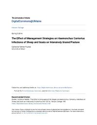 The Effect of Management Strategies on Haemonchus Contortus Infections of Sheep and Goats on Intensively Grazed Pasture