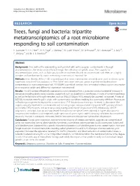 Trees, Fungi and Bacteria: Tripartite Metatranscriptomics of a Root Microbiome Responding to Soil Contamination E
