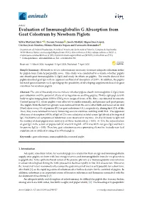 Evaluation of Immunoglobulin G Absorption from Goat Colostrum by Newborn Piglets