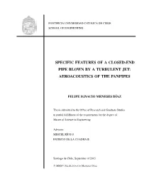 Specific Features of a Closed-End Pipe Blown by a Turbulent Jet: Aeroacoustics of the Panpipes