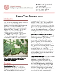 Tomato Virus Diseases: Various Introduction Lettuce, Pepper) and Ornamentals (E.G