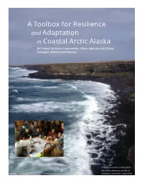 A Toolbox for Resilience and Adaptation in Coastal Arctic Alaska 2017 Guide for Alaska Communities, Tribes, Agencies and Citizens Strategies, Actions and Resources