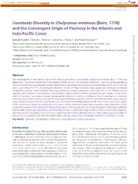 Conotoxin Diversity in Chelyconus Ermineus (Born, 1778) and the Convergent Origin of Piscivory in the Atlantic And