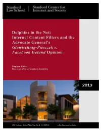 Dolphins in the Net: Internet Content Filters and the Advocate General’S Glawischnig-Piesczek V