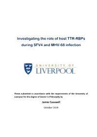 Investigating the Role of Host TTR-Rbps During SFV4 and MHV-68 Infection