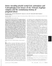 Genes Encoding Plastid Acetyl-Coa Carboxylase and 3-Phosphoglycerate Kinase of the Triticum͞aegilops Complex and the Evolutionary History of Polyploid Wheat