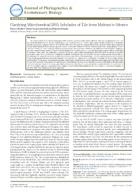 Clarifying Mitochondrial DNA Subclades of T2e from Mideast To