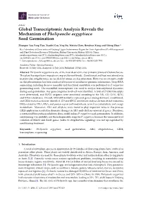Global Transcriptomic Analysis Reveals the Mechanism of Phelipanche Aegyptiaca Seed Germination