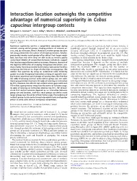 Interaction Location Outweighs the Competitive Advantage of Numerical Superiority in Cebus Capucinus Intergroup Contests