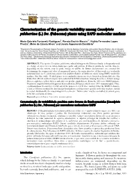 (L.) Sw. (Fabaceae) Plants Using RAPD Molecular Markers