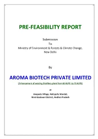 Pre-Feasibility Report