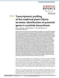 Transcriptomic Profiling of the Medicinal Plant Clitoria Ternatea