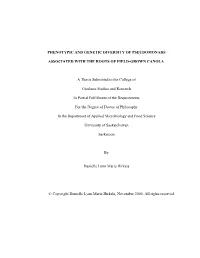 Phenotypic and Genetic Diversity of Pseudomonads