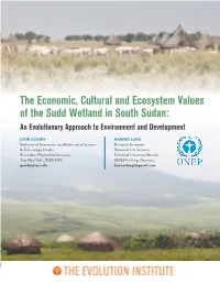 The Economic, Cultural and Ecosystem Values of the Sudd Wetland in South Sudan: an Evolutionary Approach to Environment and Development