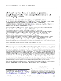 Off-Target Capture Data, Endosymbiont Genes and Morphology Reveal A