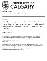 Phenological Responses to Climate in the Alberta Native Flora: Herbarium Specimens Reveal Differential Responsiveness Between Species in Mesic and Xeric Habitats