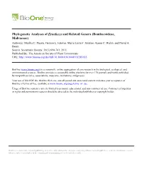 Phylogenetic Analyses of Eriotheca and Related Genera (Bombacoideae, Malvaceae) Author(S) :Marília C