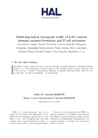 Rab6-Dependent Retrograde Traffic of LAT Controls Immune Synapse Formation and T Cell Activation