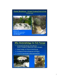 Why Geomorphology for Fish Passage
