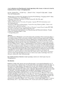 A New Radiodont (Stem Euarthropoda) Frontal Appendage with a Mosaic of Characters from the Cambrian (Series 2 Stage 3) Chengjiang Biota
