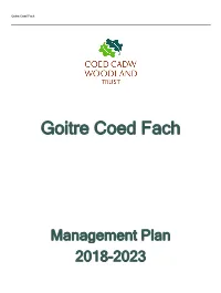 Goitre Coed Fach